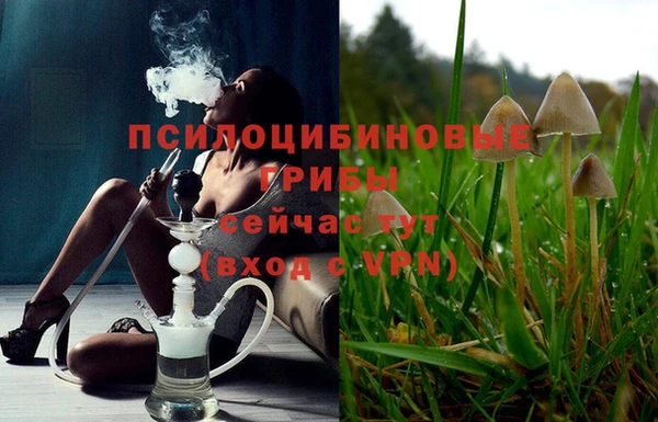 кокс Алексин